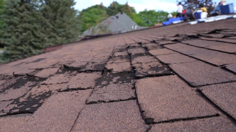 Trusted Hettinger, ND Roofing Services Experts